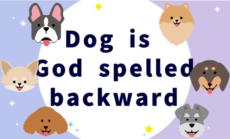 Dog is God spelled backward